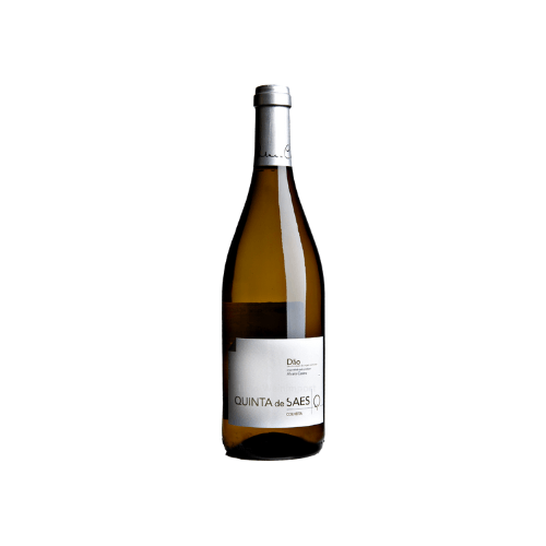 Quinta de Saes ´23 branco / Quinta da Pellada / DAO
