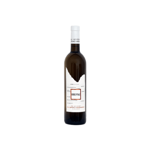 Tenuta Fernanda Cappello /
Sauvignon Friaul DOC Grave