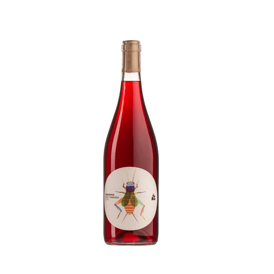 Flasche SueloVivo Tinto Naturwein aus Navarra Spanien Garnacha Tinta ungefilterter leichter Rotwein